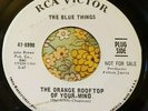 Classic Garage Psych Promo 45 Blue Things Orange Rooftop of Your Mind VG+ HEAR
