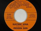 Psych Funk Fuzz 45 - Frozen Sun - Electric Soul - Capt. Zoomar - VG+ mp3