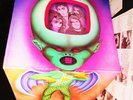 RARE 1971 ORIG   SWIRL VERTIGO   PATTO - HOLD YOUR FIRE   THRILLING PROG PSYCH