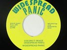 Rock 45 - Widespread Panic - Coconut Image - Widespread Panic - VG+ mp3