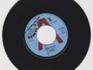 SIOUX/ JULIA SEES ME  -  EXODUS /THE TRAIN - LLOYD MATADOR (72 INSTRUMENTAL 7