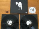 Sigur Rós ?