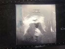 Copeland You Are My Sunshine Vinyl
