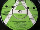 Jay & the Americans - He's Raining In My Sunshine - 7