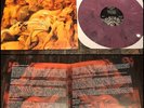 RINGWORM The Promise LP Purple Vinyl-HC pulling teeth hatebreed keelhaul  terror