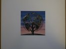 TALK TALK - LAUGHING STOCK (UK, 1991, V RARE VERVE LP, EX+ COND)