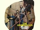 THE UNDERDOGS - Blues Band - ( AUS 1968 )  WahWah- Vinyl LP reissue