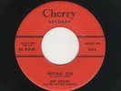 '59 TwinSpin Rockabilly ART ADAMS Indian Joe/Rock Crazy Baby CHERRY M- HEAR