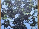 The Caretaker Everywhere At The End of Time Stage 3 Blue Sealed and unplayed