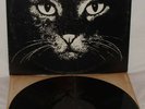 MATTHEW CASSELL Matt The Cat 1978 RARE PRIVATE SOUL MONSTER LP EX