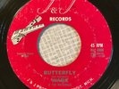 Frantic Detroit Rocker WADE & THE NATIONALS Butterfly HEAR  J&J rockabilly