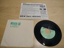 HUSKER DU Celebrated Summer / New Day Rising 1984 SST. Rare 7