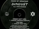 Tribe Of Issachar Feat. Peter Bouncer - Junglist (12