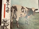 Pink Floyd Atom Heart Mother, Vinyl LP Japan, OBI, OIS, Harvest Ems-80320