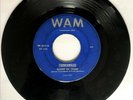 RARE Youngstown Ohio Garage Psych Funk 45 Ronnie Lee Combo 