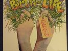 Vinyl Catch up 2 - Birth of the second Life LP Krautrock Jazz Funk rar