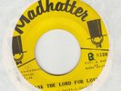 NORTHERN  --  LIVING COLOR -- THANK THE LORD FOR LOVE / GOTTA STRANGE FEELING