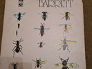SYD BARRETT....BARRETT ..RARE UK ISSUE ALBUM...HARVEST...SHSP 4007
