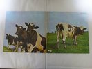 Pink Floyd Atom Heart Mother Harvest EMS-80320 Japan  VINYL LP