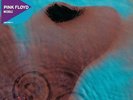 PINK FLOYD Meddle Vinyl LP NEW & SEALED