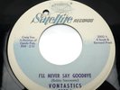 HEAR Vontastics I’ll Never Say Goodbye Satellite 2002 R&B NORTHERN SOUL1965