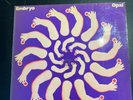Embryo 