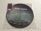 Imagine Dragons 'Night Visions' - Picture Disc vinyl LP