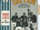 TOMMY JAMES & THE SHONDELLS say i am/Good Lovin ROULETTE rare EP mod GARAGE beat