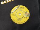 AL WILLIAMS - I AM NOTHING  - U.K. GRAPEVINE EXC+ £70