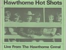 THE BEACH BOYS *The Hawthorne Hot Shots* RARE 2 EP LIVE 310/500 BRIAN WILSON EX