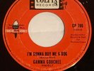 GAMMA GOOCHEE (You Got) The Gamma Goochee/I'm Gonna Buy... 45 COLPIX soul VG+