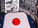 12 Punk LP's Swingin' Utter$ Crimpshrine Squirrel Nut Zippers Vindictives ETC...