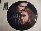 Twilight Soundtrack / Hot Topic Exclusive  / Very Rare Vinyl  Picture Disc