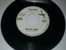 The Ho-Dads 45rpm Audition Record After Dark / Space Race