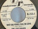 DOO WOP 45 GALLAHADS RENDEZVOUS 153 DJ WHY DO FOOLS FALL IN LOVE / GONE