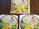 Elton john goodbye yellow brick road limited edition double lp picture disc.