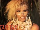 Tam-Tam By Amanda Lear Vinyl LP (Rare)