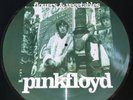 PINK FLOYD FLOWERS & VEGETABLES STUDIO/BBC 1966-67 PIC DISC VINYL LP SYD BARRETT