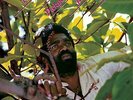 BYLES,JUNIOR-RASTA NO PICKPOCKET VINYL LP NEW