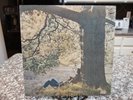 JOHN LENNON PLASTIC ONO BAND Apple Record JAPAN Album EAS-80704 Vinyl LP Beatles