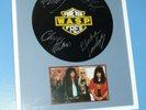W.A.S.P. FOREVER FREE 12 