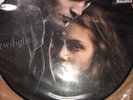 Twilight The Movie  Hot Topic Exclusive Picture Vinyl Record 2 Songs 2008 *RARE*