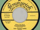 CASUAL-AIRES (What's the Word) Thunderbird / Candy 45rpm Brunswick 1958 promo