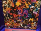 The Coral Butterfly House Album 12