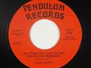 Crossover Soul 45 - Case Band - Never Should Have Loved You - Pendulum VG++ mp3