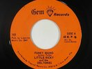 Funk 45 - Little Ricky and the Deltones - Funky Sound - Gem - VG+ mp3