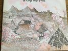 Caravan in the land of grey and pink LP EX