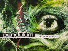 Pendulum Hold Your Colour 3 × Vinyl 12