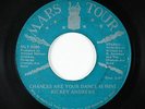 Funk/Deep Soul 45 - Rickey Andrews - Chances Are - Mars La Tour - mp3