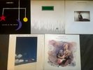 chris Rea vinyl albums X 5, Excellent clean condition On the beach,water sign